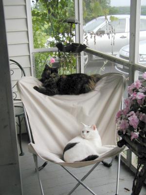 B & K Hanging on the Butterfly Chair
