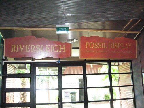 Riversleigh Fossils