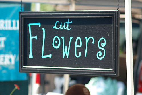 cut flowers