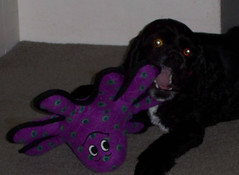 Maggie with toy