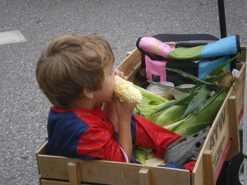 Spider-man eating corn-on-the-cob