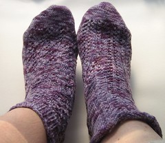 socks_maizy_tops
