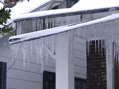 Icicles on Beacon Avenue. Photo by Wendi.