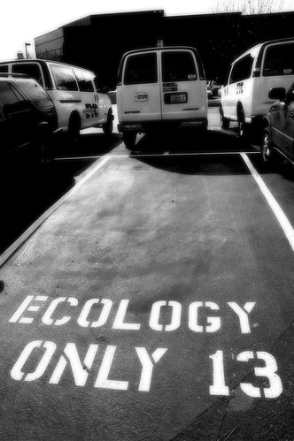 ECOLOGY ONLY 13, Parking Lot, Bellevue, Washington, USA by Wonderlane