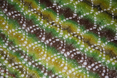 North Roe shawl blocking detail