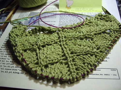 leaf shawl 1