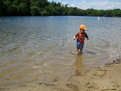 Wading in Houghton's Pond