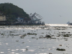 Fort Kochi Nets