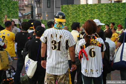 Hanshin Tigers Fans