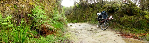 A rare cycle-able part of the Mangapurua Track, Whanganui National Park, New Zealand
