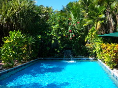 Maruba Resort pool