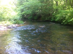  Jones Creek 