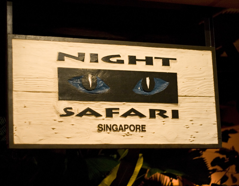 Welcome to the Night Safari
