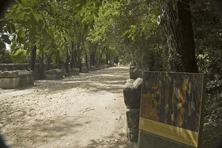 Where Vincent Van Gogh painted 'Les Alyscamps', Arles, France