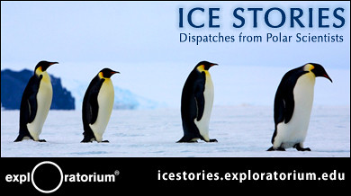 Exploratorium - Ice Stories: Dispatches from Polar Scientists