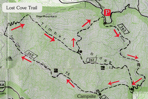 Lost Cove Trail Map