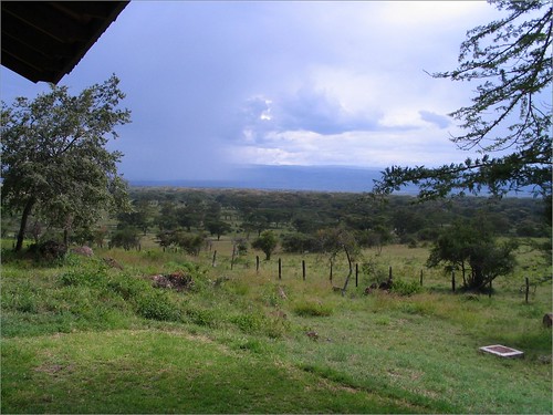 你拍攝的 28 View from Lake Nakuru Lodge。