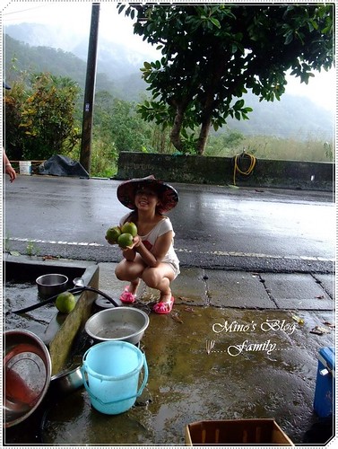 下雨天採柚子 作者 扶桑花的夏天