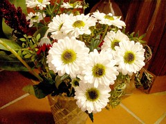 nice white flowers in a glass jar PICT8015b RS by Seven Pillars Lord Abbaddon