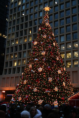 Chicago's Christmas tree (by hoopskirts)
