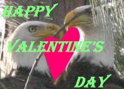 Eagle Valentine
