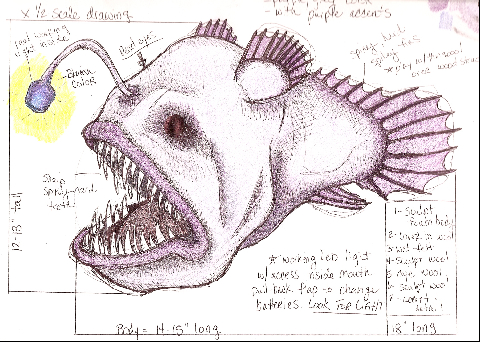 Angler Fish Concept Drawing