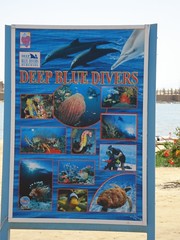 Deep blue divers advertising, hotel Panorama