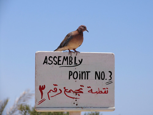 Egypt - Hauza Beach Resort - Assembly Point (2008-08-01) ©  Vlad Volkov