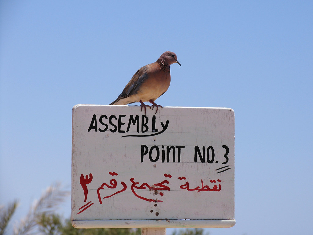 : Egypt - Hauza Beach Resort - Assembly Point (2008-08-01)