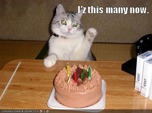 birthday images funny. funny-pictures-irthday-cat-