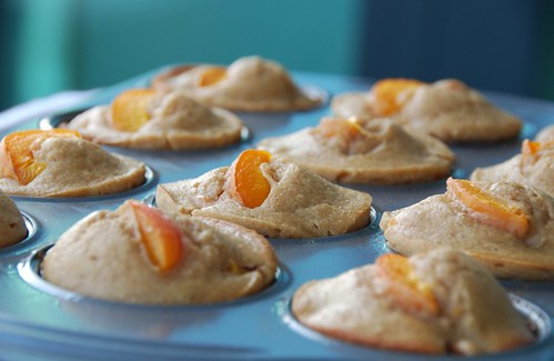 apricot muffins tin angle