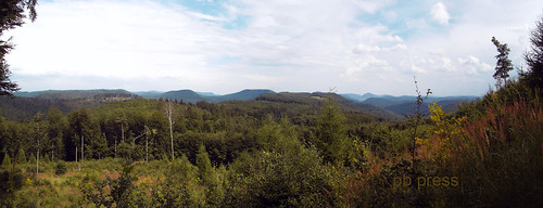 Blue Mountains - Pfälzer Wald Panorama