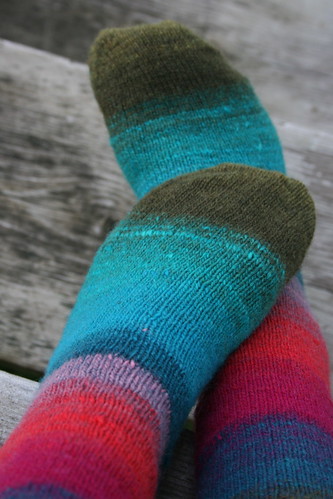 365-94 (nuzzled socks)