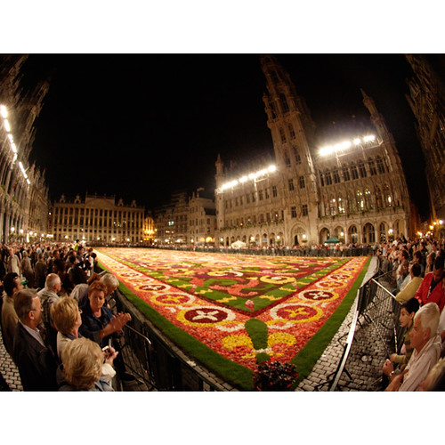 Flower carpet, Grand Place, Brussels