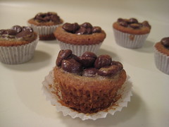 Chocolate Chip Cupcake/Muffin/Cookie