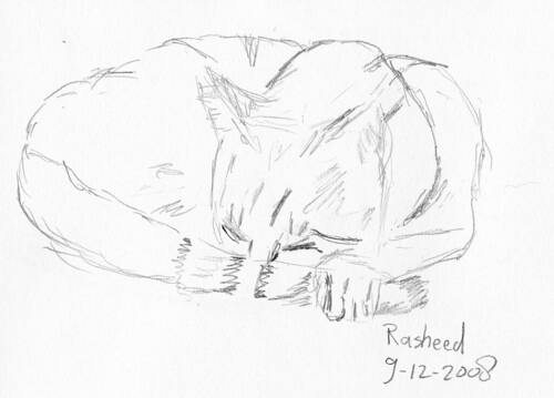 Sleeping cats are easy to sketch | So much to do, so little time