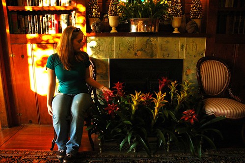 Jessie planted by the fireplace at Mill Rose Inn, Half Moon Bay, California, USA by Wonderlane