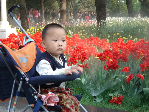 Beijing April '08 042