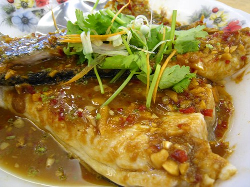 Steamed Fish Tail with Spicy Bean Sauce