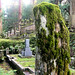 Moss on dressed stone - Okunoin cemetary