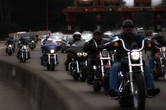 2749143120 efe54b499c m - What Gives States The Right To Mandate Use Of Motorcycle Helmets?