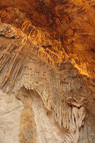 Shasta Caverns - 7094