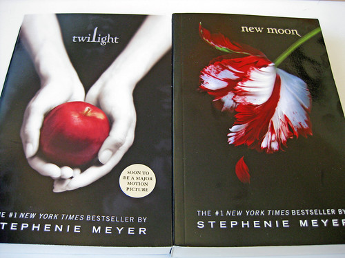 Twilight Books