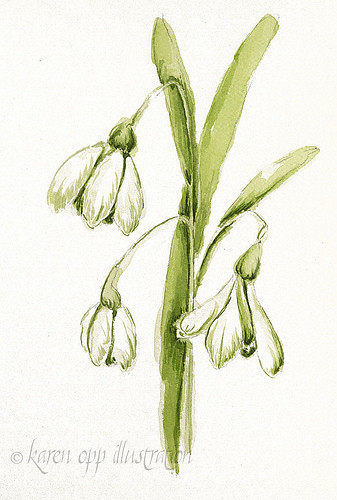 snowdrop painting 2 by you.