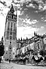 Catedral de Sevilla by Justin Korn