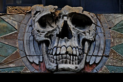 skull by Leo Reynolds, on Flickr