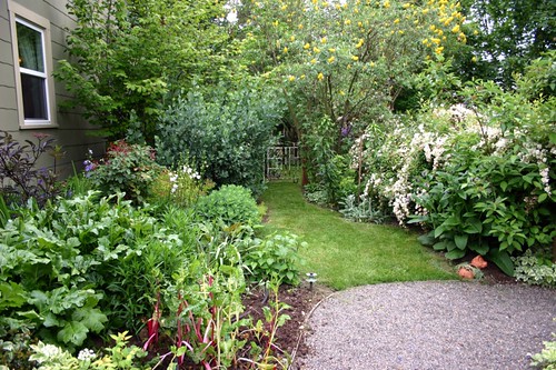 the side garden