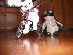 Pablito ayudando a Nanuk en sus primera vueltita en bici
