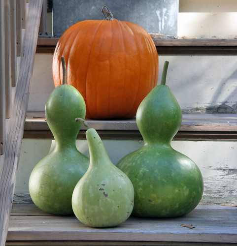 gourds on the steps