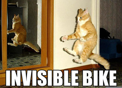 funny pictures of cats and kittens. Funny Pictures of Cats and Kittens